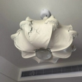 ��˿���ֿ����ˣ�