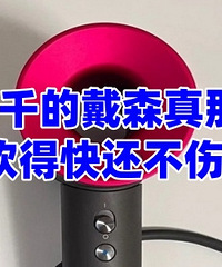 ��ǧ�Ĵ�ɭ�������ĺ�����