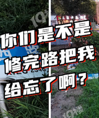 ����"·��"���ߣ�