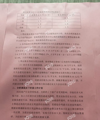 �ðԵ�����ҵ��ͶƱû�в�ͬ��ѡ�ҵ����ͬ��Ʊ����Ч��