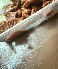 �ڼ���ĳ֪����ʳ���򵽵���ʳ��Գ��ݶ�����