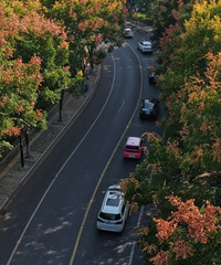 ȷ���ˣ�һ�ɽ�ǿ���������Ӱ����ˣ�