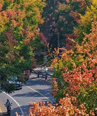 ������������·��Ϊʲô������ô����