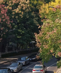 ������������·��Ϊʲô������ô����