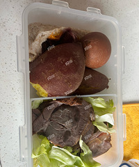 ���Ǽ��ʶ���ô�԰�������ɹɹ��ļ��ʲͣ���û�кóԲ��ֵ���ʳ