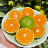 3��25.8Ѱ�����٣�