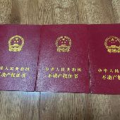 87年上市公司男