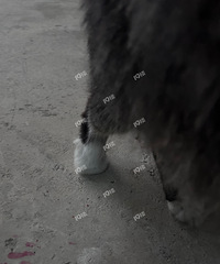 ������������û�о���վ���Խ�������Сè��Сè�Ŷ������ˣ�