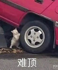 幼儿园都在上啥兴趣班