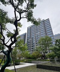 һ������ӡ�µ��ա�ʵ��̽�������ˣ��ٿ���