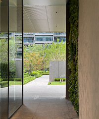 һ������ӡ�µ��ա�ʵ��̽�������ˣ��ٿ���