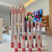 �����ɶ���ʵ������