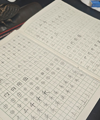 ���軹�Ƿ��ޣ������ʴ�Ҷ���������