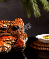 ������ѡ���������κ���բзз����