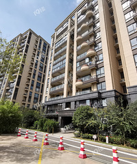 ���֣���Ҿ��ü����ĸ�С��ס�����������