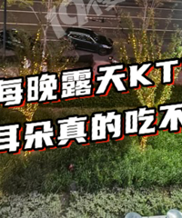 ���г����߶�û�á�