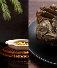 ������ѡ���������κ���բзз����