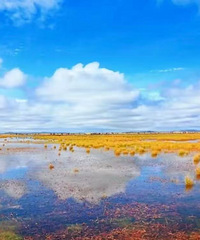 ��Զ��Ҫ̫������ĺ��� ��Ҫ��������ĺ���