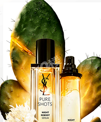 [ʥҹʺ󾫻]һҹʻ ͸