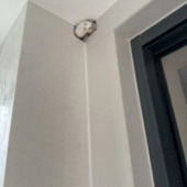 һ̧ͷ��������ܵ���