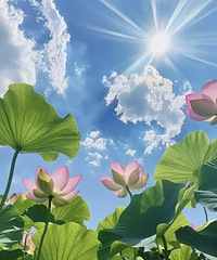 ҹдӡ88ȦӼ򵥵Ĺ ˶ Ѱ