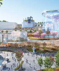 ���½�չ��������Ҫ���µ���ҵ���ˣ����ڡ�