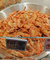 [��ʳ]�����¿��ģ��úù�ġ������ԡ� ��ʳ������