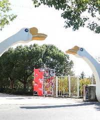 ��ʮ����¥������������ֿ�һ����԰��