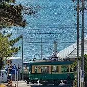 �������������ĵ�����