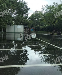 �ո�ͻȻ�곬��·�ϸ��������� ֻ���Ҹ�ͣ����ͣһ�����