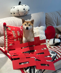 �������10%��ȷʵ�������е㽲������