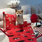 �������10%