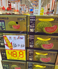 �������������èɽ����ʲô����ˮ�������� ������˵�Ǵ�թƭ��