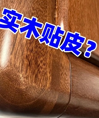 ����������Ҿ��ǲ���ʵľ��Ƥ�ˣ�