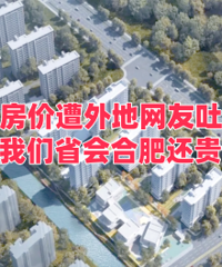 ���˷�������������²ۣ�������ʡ�ỹ��...