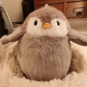 ������ѧУ���۸���