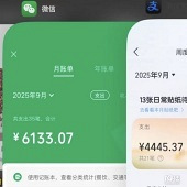 ��̥�������س�֧