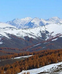 ��ʼ��ѩ�ˣ�������������׼���ˣ�