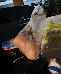 �����������ҹ��С��ѡ�Ů���ѡ�������Ͱ��