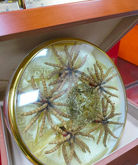 ����֮�ƣ����ø�Ѹ��������˵��ݣ�Ҳ��һ�����⡭��