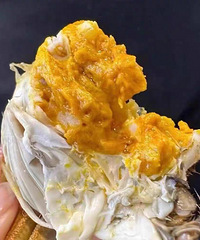 �������ﲻ���±��� ȫ����Ĵ�բз��������