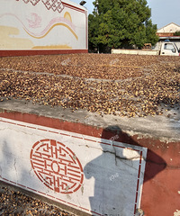 �����һλҩ��ɹ�˺ܶ� �ܲ��������ջ��...