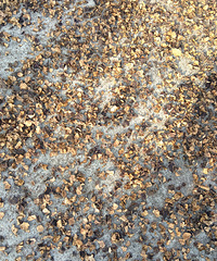 �����һλҩ��ɹ�˺ܶ� �ܲ��������ջ��...