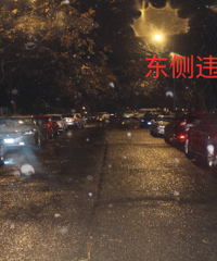 �·����ˣ�·��Υͣ��Ӻ���һ��������Υͣ��10������ȫ������