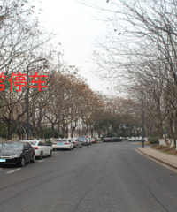 �·����ˣ�·��Υͣ��Ӻ���һ��������Υͣ��10������ȫ������