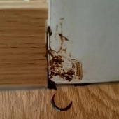 Ϊɶ���ӷ�϶����֭��