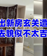 ���ѷ��������أ���ô����...