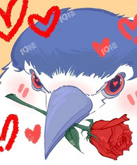 ���뿴���أ�������ʲô���㿴ҹ�صĵط���