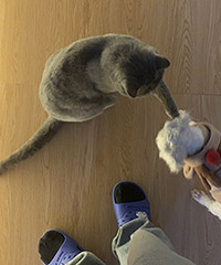 ��ϲ��С�����Ů����92�������ѰԵ