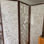 ��������磡